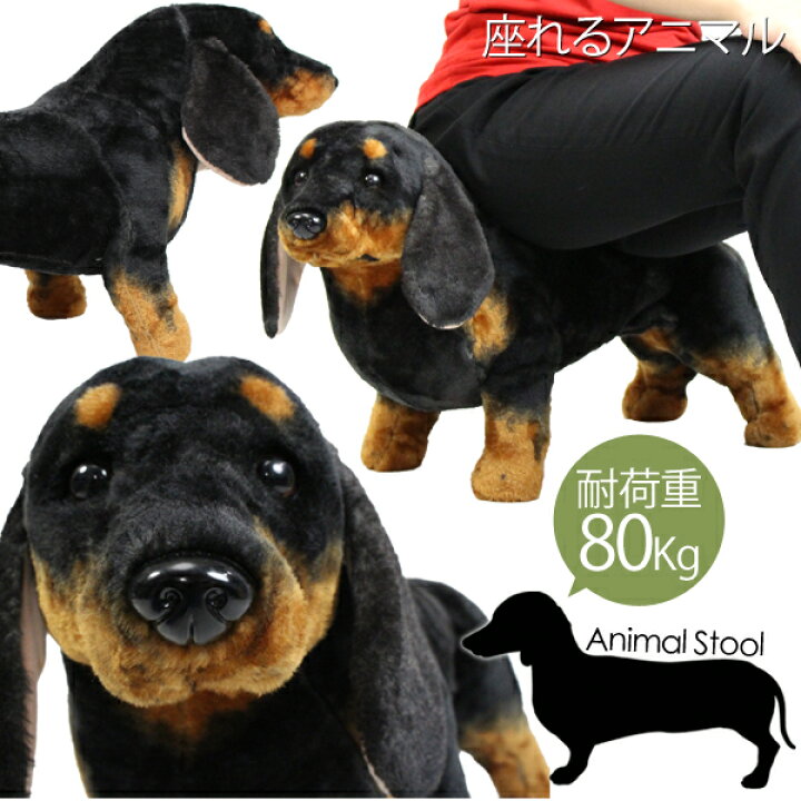 楽天市場】【着後レビューで特典G】ダックスフンド イヌ 犬 いぬ 