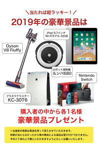 福袋2019年今回の特賞はダイソンやルンバ、ニンテンドースイッチ、プラズマクラスター等お宝ワールド福袋大人気アイテム3点詰め込み福袋DysonNintendoSwitchiPad【1月下旬頃発送予定】/###お宝ワールド福袋###