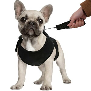 犬 ハーネス リード付 ベストハーネス ハーネスリードセット 小型犬 中型犬 ペット 服 ウェアハーネス シートベルト 胴輪 キャット ドッグ メッシュ ###ペットハーネスGYF###