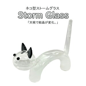 _11920X7{+ő5000~OFFN[|!!^ Xg[OX Cیv KIxv lR KXt[gxv KI xv KX  TCGX Ȋw Mtg a LO 