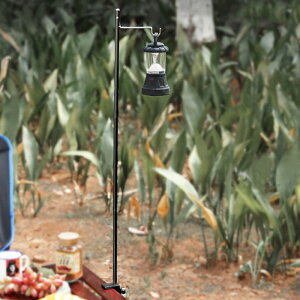 ^ ^X^h e[u Nv ܂肽  RpNg y [P[Xt Ɩ Lv AEghA BBQ ###X^hKZDMZJ###