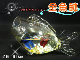 楽天市場 水槽の通販