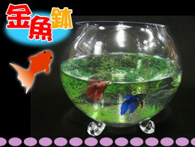 楽天市場 金魚鉢の通販