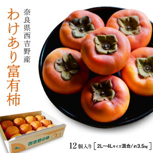 yޗǐgY킯xL`i󂠂 2L`4L 12E3.5kgjz xL` ` ޗ g g gY Jʎ