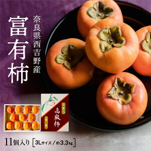 yޗǐgŶ肽ĒxL`iGi 3L 11E3.3kgjz xL` ` p  Gi