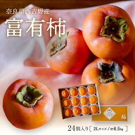 【奈良西吉野産採りたて直送富有柿（秀品 2L 24個入り・約6.5kg）】送料無料 富有柿 柿 贈答用 贈答 秀品…