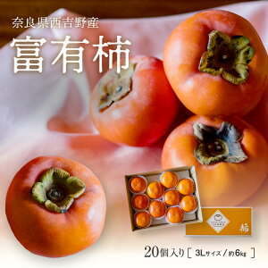 yޗǐgŶ肽ĒxL`iGi 3L 20E6kgjz xL` ` p  Gi ޗ g g gY Jʎ