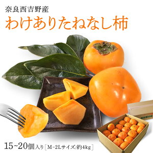 yޗǐgY킯肽˂Ȃ`iM`2L 15`20E4kgjz