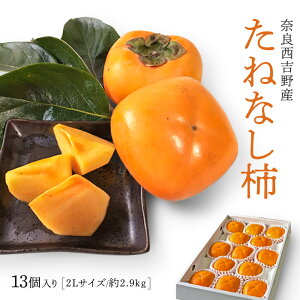 y_Ƃ蒼IzޗǐgY˂Ȃ`(13E2.9kg)y Gi 2LTCY z