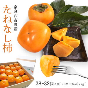 y_Ƃ蒼IzޗǐgY˂Ȃ`i28`32E7kgjy Gi 2LTCY z