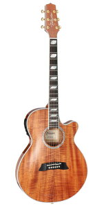 Takamine TSP178ACK N ^J~l GNgbN AR[XeBbNM^[ GAR
