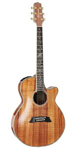 Takamine DMP100K N ^J~l GNgbN AR[XeBbNM^[ GAR