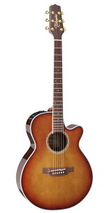 Takamine DMP161C TB ^J~l GNgbN AR[XeBbNM^[ GAR