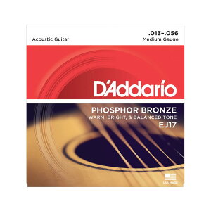 D'Addario EJ17 __I AR[XeBbNM^[ PHOSPHOR BRONZE Medium 13-56