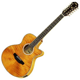 アリア エレアコ ARIA FET-DLX-12 Natural Elecord 12弦 エレクトリックアコースティックギター