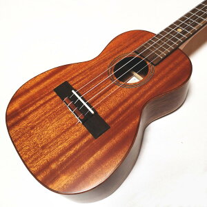 Leho z RT[gEN LHUC-ASM