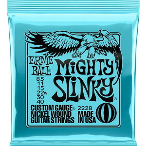 ERNIE BALL A[j[{[ }CeBXL[ 2228 GLM^[ 085-40