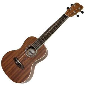 RT[gEN ISLANDER Plant a Tree Box PAT-BOX MCB-4 NXA`[i[AobOAAؖt