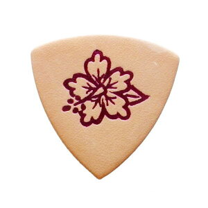 Famous ENsbN {琻 EN sbN