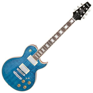 GLM^[ AA Aria ProII PE-700 SBL