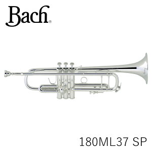 yXɍ݌ɗL!!zBACH obN gybg@180ML37SP ⃁bLdグ