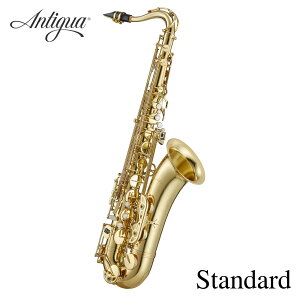 AeBOA@ei[TbNX X^_[h TS3108