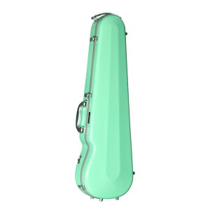 Eastman イーストマン バイオリンケーススタンダード グレーフレーム パステルグリーン