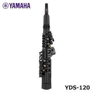 YAMAHA }n fW^TbNX YDS-120