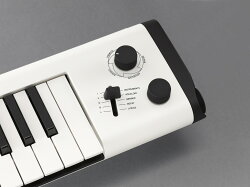 YAMAHAヤマハボーカロイドキーボードVKB-100【送料無料】【代引不可】【smtb-ms】【RCP】【zn】