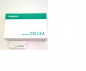 GNg[ΉUSBtbV[ 4GB }nmFς GREEN HOUSE O[nEX