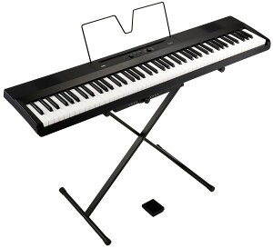 KORG RO fW^sAm liano L1SPyԕiszysz