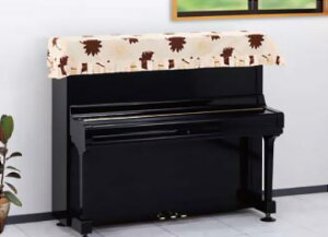 b AbvCgsAmJo[ gbvJo[ CeAfUCJo[ INT-5Tyԕisz