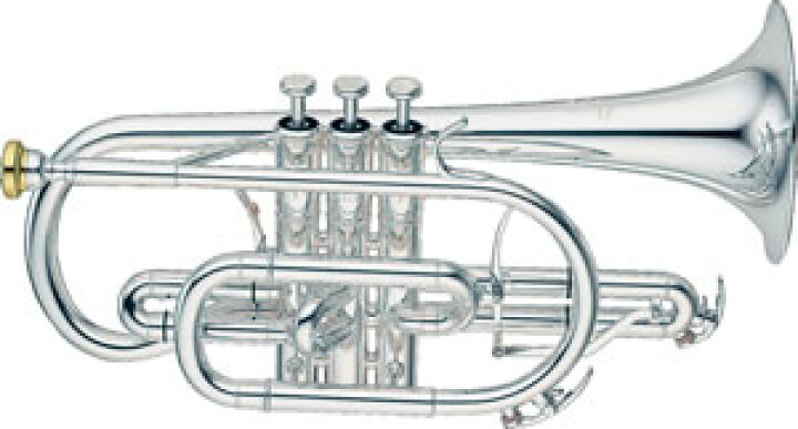 楽天市場】YAMAHA ヤマハ コルネットカスタム コルネット ゼノ YCR 