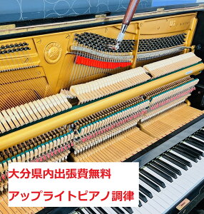 AbvCgsAm@啪o@VK\