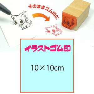 CXgSy10cm×10cmzeT|[gEŉ`FbN̈SĨIWiI[_[X^v