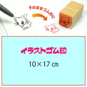 CXgSy10×17cmzeT|[gEIWiI[_[X^vESȏ̑ϖEŉ`FbNES