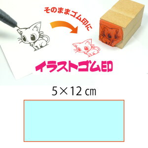 CXgSy5×12cmzeT|[gEIWiI[_[X^vESȏ̑ϖEŉ`FbNES