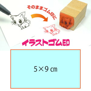 CXgSy5cm×9cmzeT|[gEIWiI[_[X^vESȏ̑ϖEŉ`FbNES