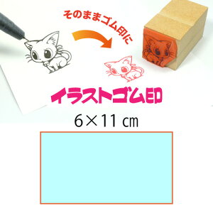 CXgSy6×11cmzeT|[gEIWiI[_[X^vESȏ̑ϖEŉ`FbNES