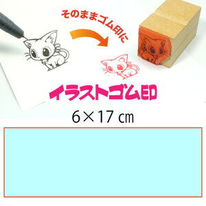 CXgSy6×17cmzeT|[gEIWiI[_[X^vESȏ̑ϖEŉ`FbNES