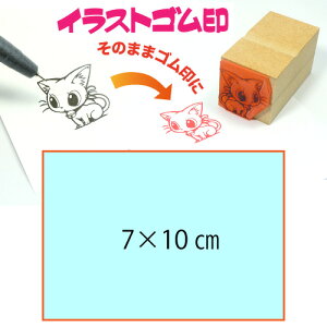 CXgSy7cm×10cmzeT|[gEŉ`FbN̈SĨIWiI[_[X^v