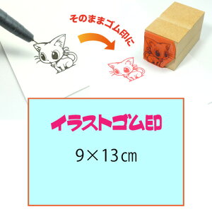 CXgSy9×13cmzeT|[gEIWiI[_[X^vESȏ̑ϖEŉ`FbNES