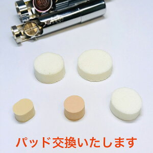 ������p�C���L�p�b�h�����T�[�r�X