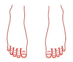V`n^p^@×pl̐}@̍b20×30mm