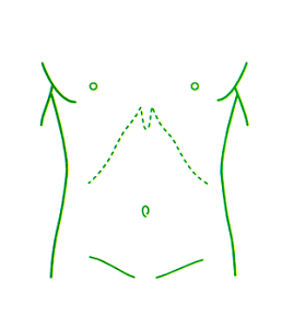 V`n^p^@×pl̐}@20×30mm