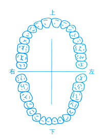 動物画像無料 トップ100 歯型 イラスト