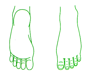 V`n^p^@×pl̐}@20×30mm