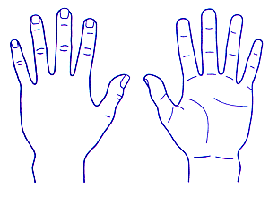 V`n^p^@×pl̐}@40×50mm