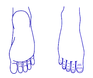 V`n^p^@×pl̐}@E40×50mm