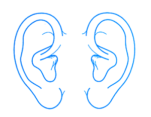 V`n^p^@×pl̐}@40×50mm